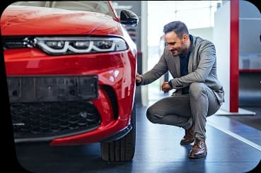 a car in road in jangle